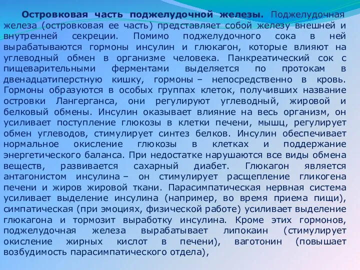 Островковая часть поджелудочной железы. Поджелудочная железа (островковая ее часть) представляет