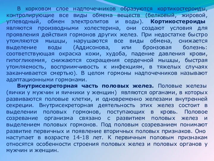 В корковом слое надпочечников образуются кортикостероиды, контролирующие все виды обмена