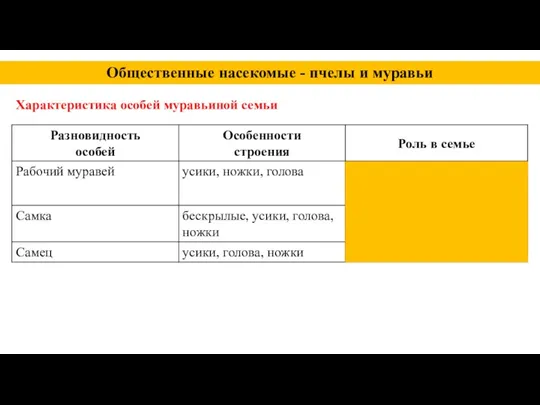 Общественные насекомые - пчелы и муравьи Характеристика особей муравьиной семьи