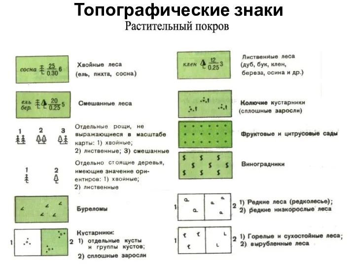 Топографические знаки