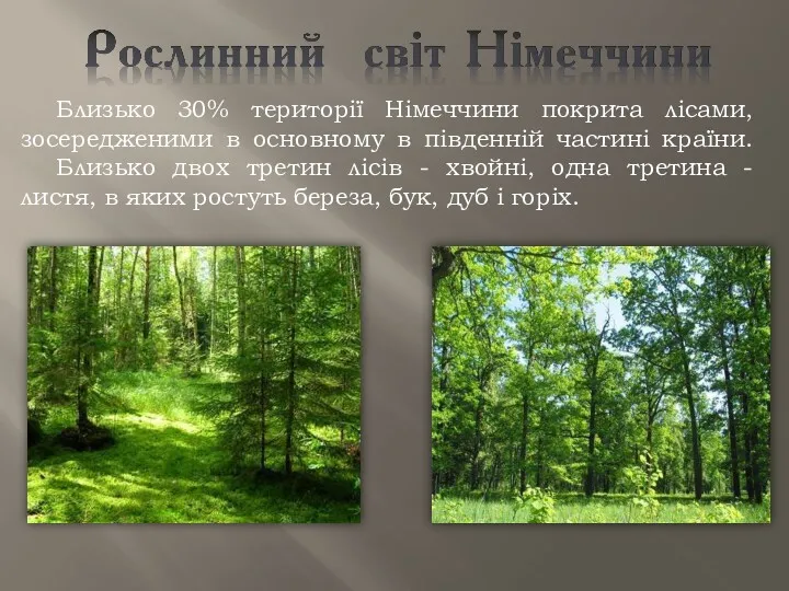 Близько 30% території Німеччини покрита лісами, зосередженими в основному в