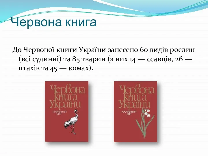 Червона книга До Червоної книги України занесено 60 видів рослин