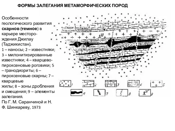 ФОРМЫ ЗАЛЕГАНИЯ МЕТАМОРФИЧЕСКИХ ПОРОД Особенности геологического развития скарнов (темное) в