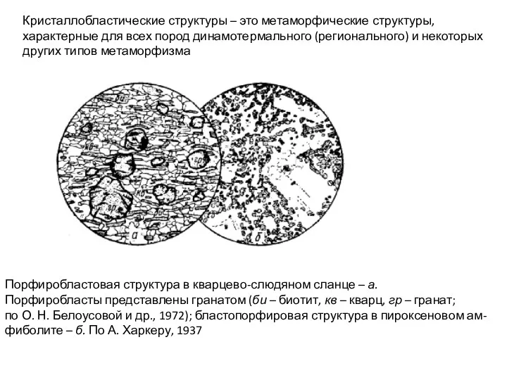 Порфиробластовая структура в кварцево-слюдяном сланце – а. Порфиробласты представлены гранатом