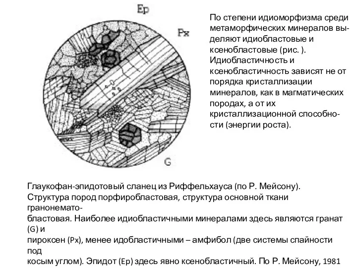 Глаукофан-эпидотовый сланец из Риффельхауса (по Р. Мейсону). Структура пород порфиробластовая, структура основной ткани