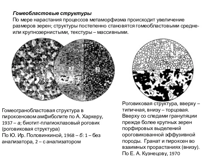 Гомеобластовые структуры По мере нарастания процессов метаморфизма происходит увеличение размеров