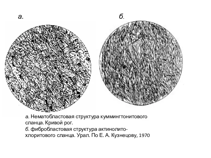 а. Нематобластовая структура куммингтонитового сланца. Кривой рог. б. фибробластовая структура актинолито-хлоритового сланца. Урал.