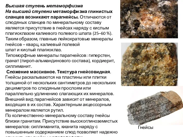 Высшая ступень метаморфизма На высшей ступени метаморфизма глинистых сланцев возникают парагнейсы. Отличаются от