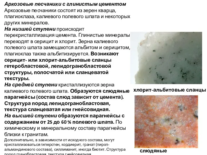 Аркозовые песчаники с глинистым цементом Аркозовые песчаники состоят из зерен