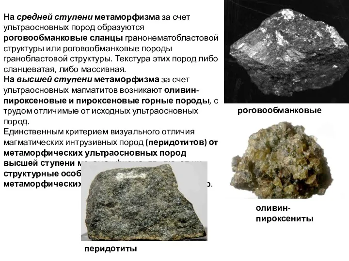 На средней ступени метаморфизма за счет ультраосновных пород образуются роговообманковые сланцы гранонематобластовой структуры