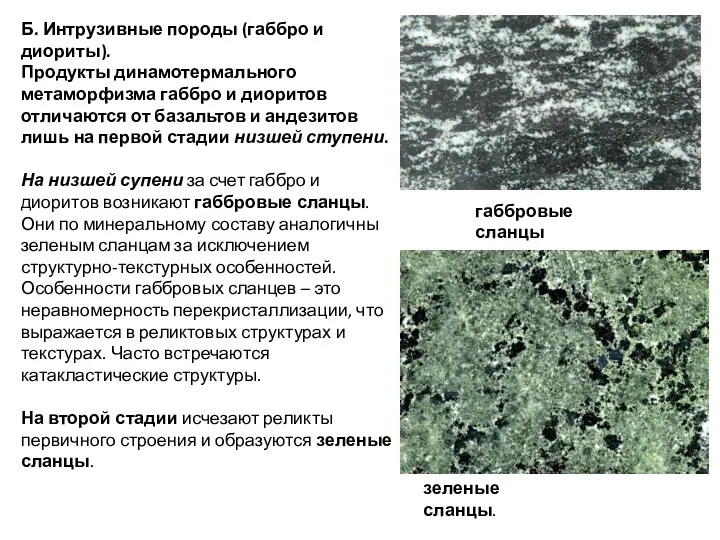 Б. Интрузивные породы (габбро и диориты). Продукты динамотермального метаморфизма габбро