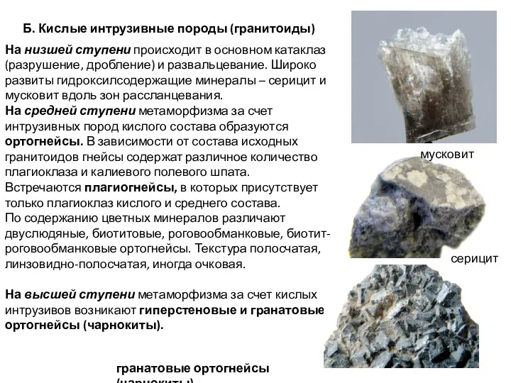 Б. Кислые интрузивные породы (гранитоиды) На низшей ступени происходит в