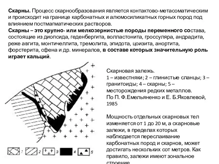 Скарновая залежь. 1 – известняки; 2 – глинистые сланцы; 3 – гранитоиды; 4