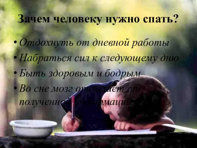 Зачем человеку нужно спать? Отдохнуть от дневной работы Набраться сил