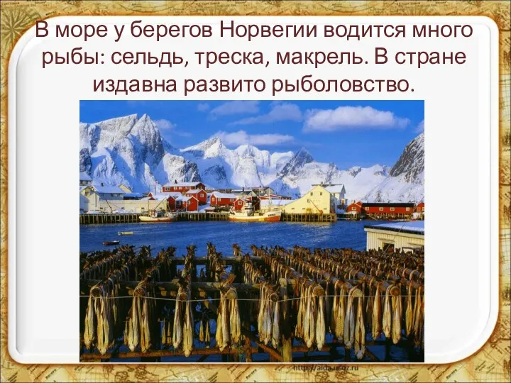 В море у берегов Норвегии водится много рыбы: сельдь, треска, макрель. В стране издавна развито рыболовство.