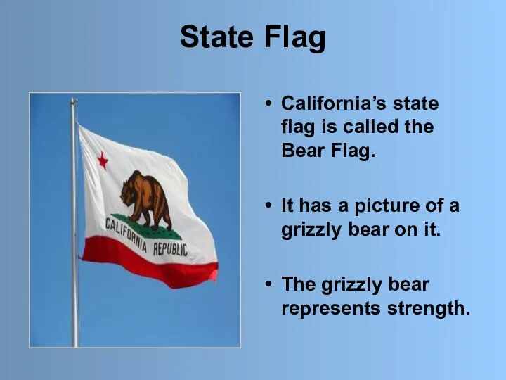 State Flag California’s state flag is called the Bear Flag.