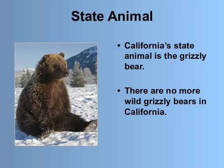 State Animal California’s state animal is the grizzly bear. There