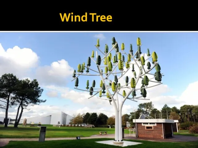 Wind Tree