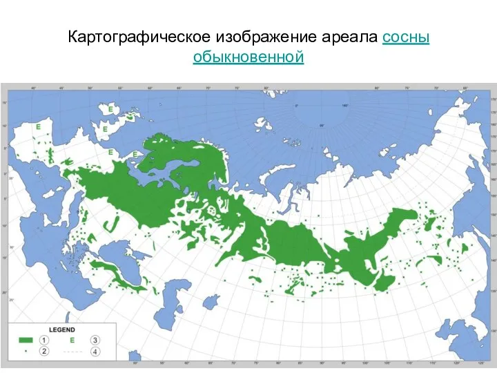 Картографическое изображение ареала сосны обыкновенной