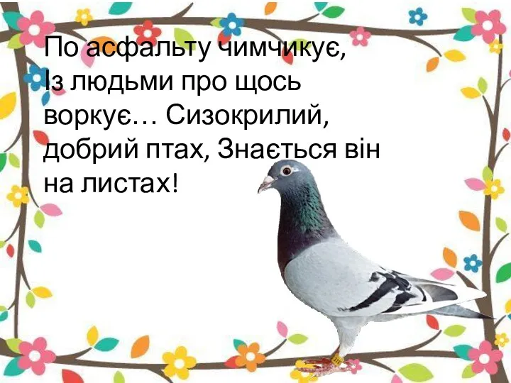 По асфальту чимчикує, Із людьми про щось воркує… Сизокрилий, добрий птах, Знається він на листах!