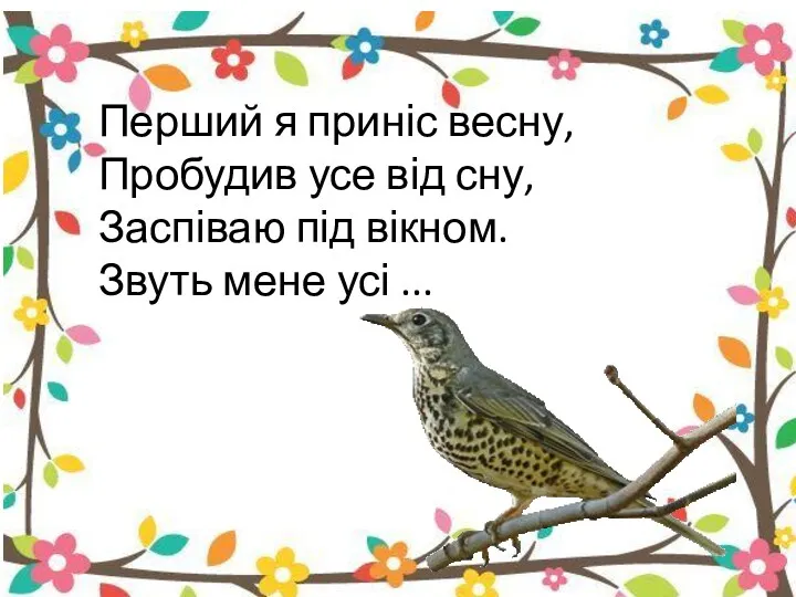 Перший я приніс весну, Пробудив усе від сну, Заспіваю під вікном. Звуть мене усі ...