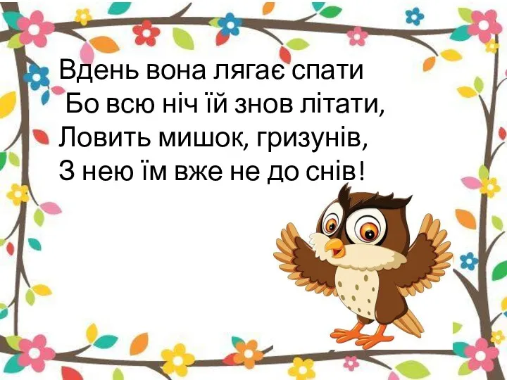 Вдень вона лягає спати Бо всю ніч їй знов літати,