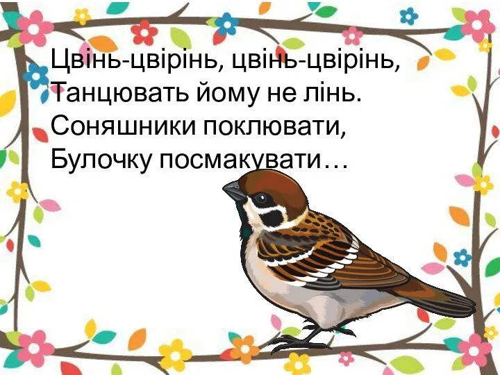 Цвінь-цвірінь, цвінь-цвірінь, Танцювать йому не лінь. Соняшники поклювати, Булочку посмакувати…