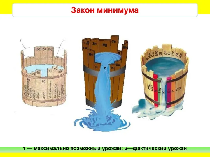 Графическое изображение закона минимума: 1 — максимально возможный урожай; 2—фактический урожай Закон минимума