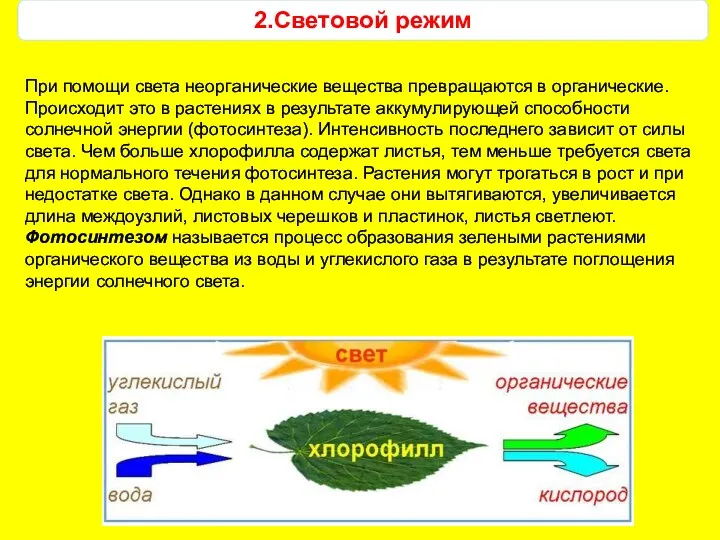 2.Световой режим При помощи света неорганические вещества превращаются в органические.