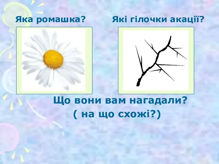 Яка ромашка? Які гілочки акації? Що вони вам нагадали? ( на що схожі?)