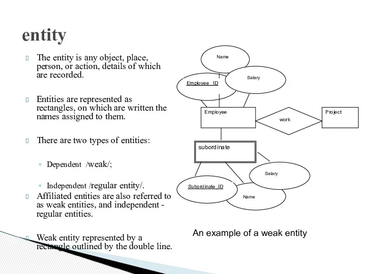 entity The entity is any object, place, person, or action,