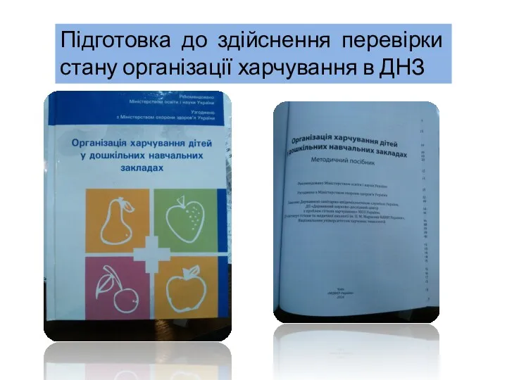 Підготовка до здійснення перевірки стану організації харчування в ДНЗ