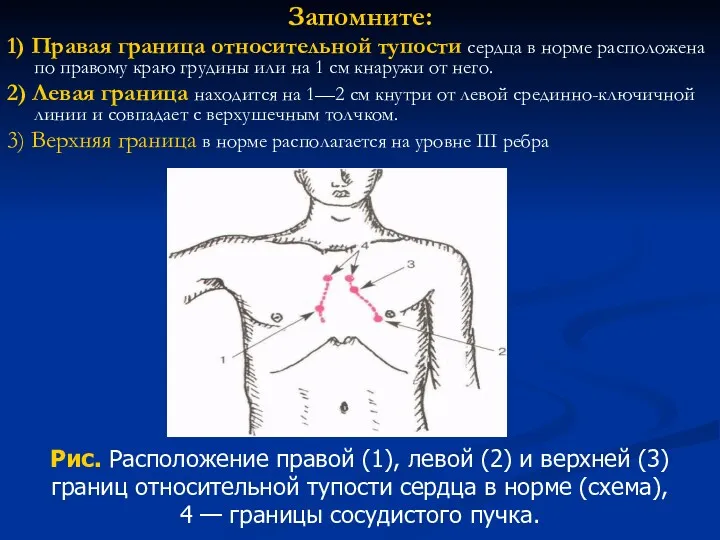 Запомните: 1) Правая граница относительной тупости сердца в норме расположена