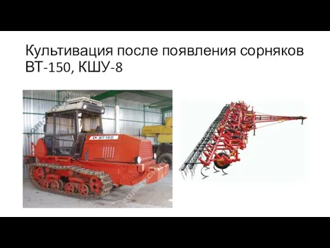 Культивация после появления сорняков ВТ-150, КШУ-8