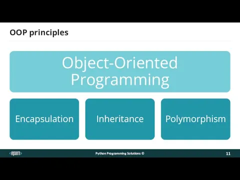 OOP principles Python Programming Solutions ©