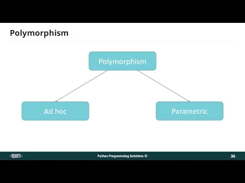 Polymorphism Python Programming Solutions © Polymorphism Ad hoc Parametric
