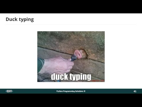 Duck typing Python Programming Solutions ©