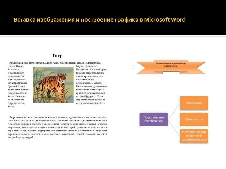 Вставка изображения и построение графика в Microsoft Word