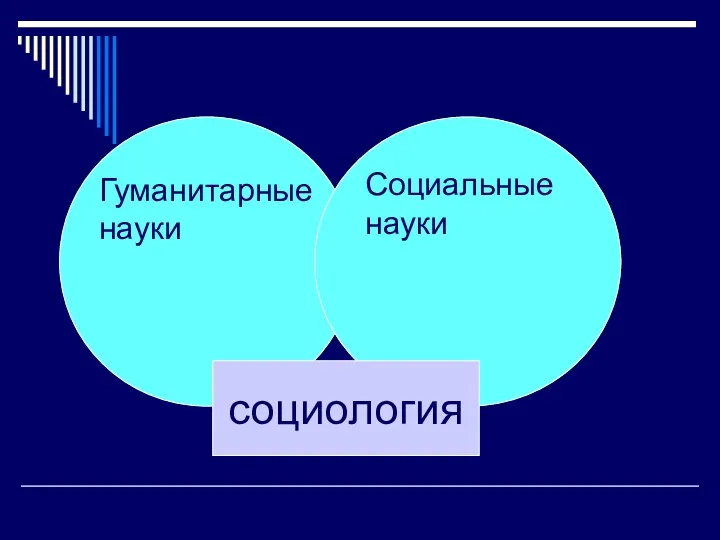 социология Гуманитарные науки Социальные науки