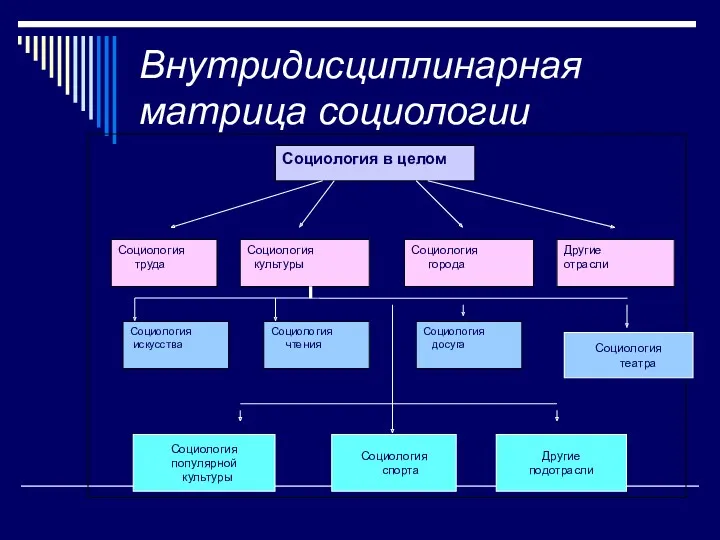 Внутридисциплинарная матрица социологии Социология популярной культуры Социология спорта Другие подотрасли Социология театра