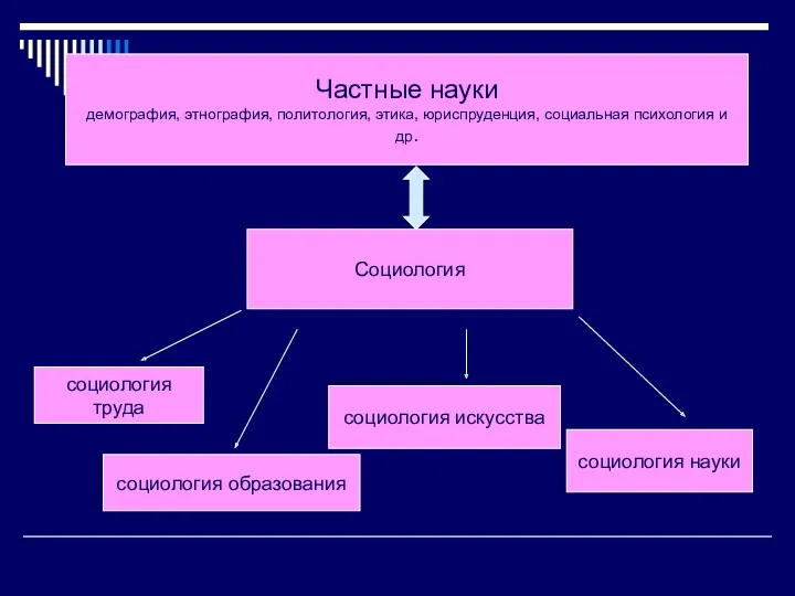 Частные науки демография, этнография, политология, этика, юриспруденция, социальная психология и