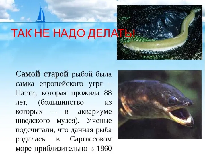 ТАК НЕ НАДО ДЕЛАТЬ!