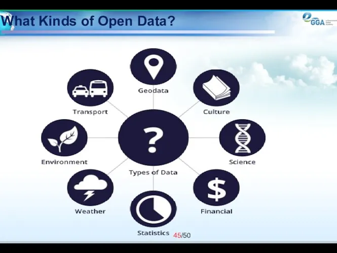 What Kinds of Open Data?