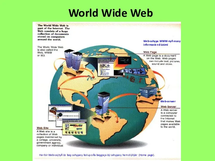 World Wide Web Web-sahypa WWW-nyň esasy informasion düzümi Web-serwer Her