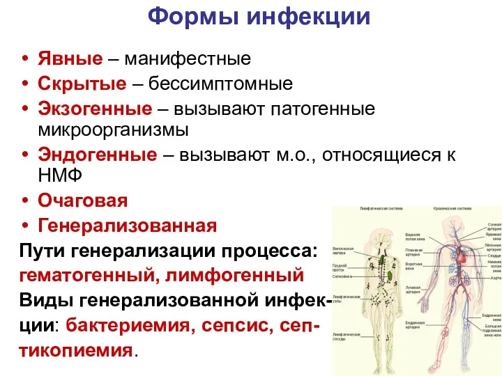 Формы инфекции Явные – манифестные Скрытые – бессимптомные Экзогенные –