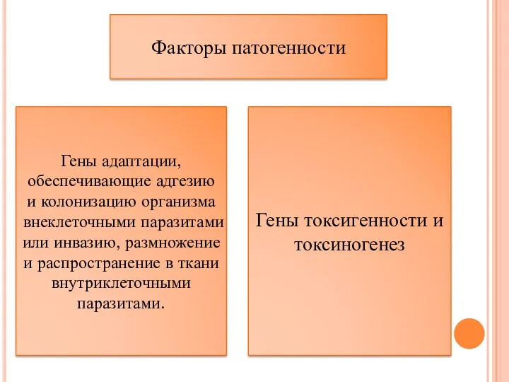 Факторы патогенности Гены адаптации, обеспечивающие адгезию и колонизацию организма внеклеточными