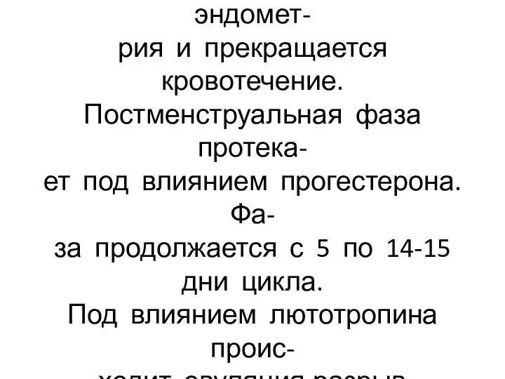 Под влиянием фолликулина акти- визируется пролиферация эндомет- рия и прекращается