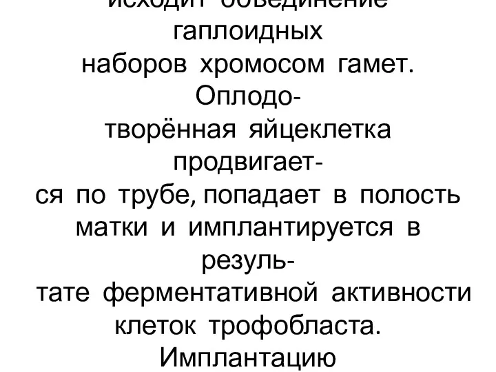 В результате оплодотворения про- исходит объединение гаплоидных наборов хромосом гамет.