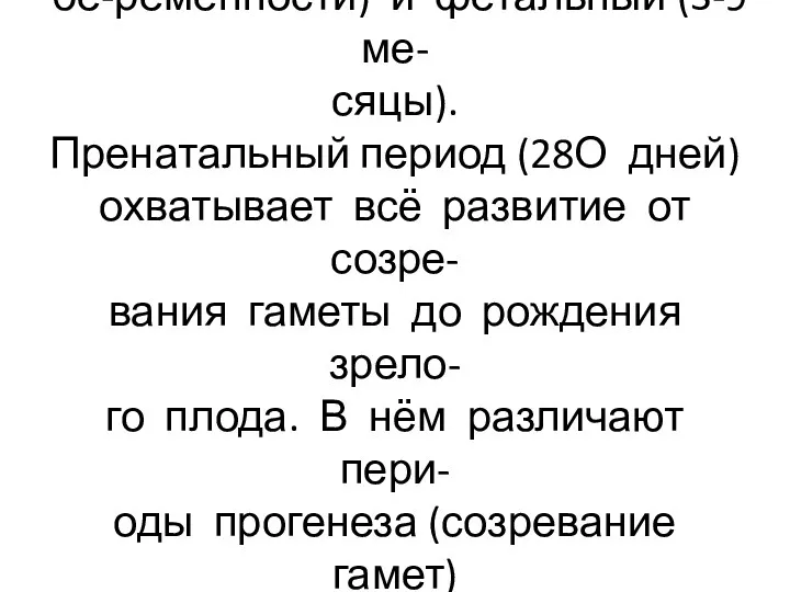 Этапы развития: внутриутробный (эмбриональный (до 3 месяцев бе-ременности) и фетальный