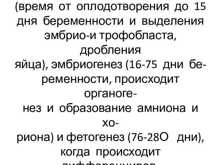 Киматогенез включает бластогенез (время от оплодотворения до 15 дня беременности